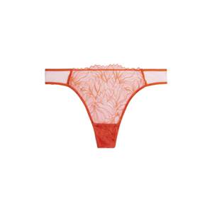 Calvin Klein Underwear String bugyik  homár