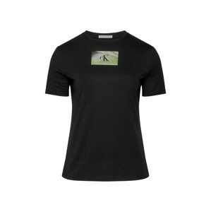 Calvin Klein Jeans Póló  szürke / fűzöld / fekete