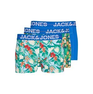 JACK & JONES Boxeralsók 'PINEAPPLE'  kék / világoskék / zöld / világospiros