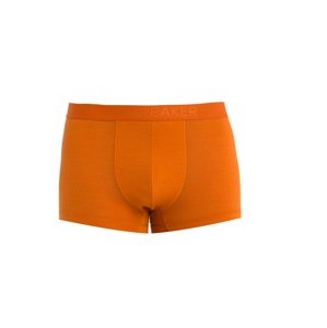 ICEBREAKER Sport alsónadrágok 'Anatomica'  sötét narancssárga