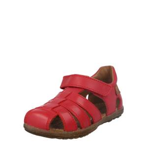NATURINO Nyitott cipők 'See'  piros mix