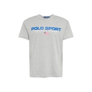Polo Ralph Lauren T-Shirt  szürke / égkék / fehér