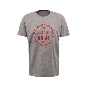 ESPRIT Shirt 'SG-990EE2K305'  szürke