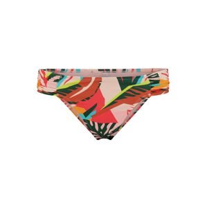 Shiwi Bikini nadrágok 'Frangipani'  vegyes színek