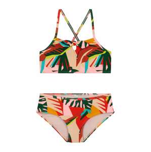 Shiwi Bikini 'fangipani'  vegyes színek