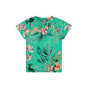 Shiwi Shirt 'Waikiki rashtee'  türkiz