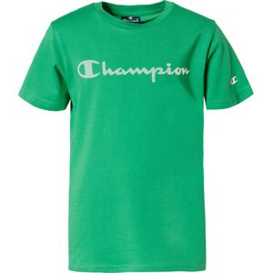 Champion Authentic Athletic Apparel Póló  fűzöld / fehér / piros