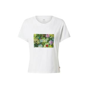 LEVI'S ® Póló 'Graphic Surf Tee'  jáde / fűzöld / lila / világospiros / fehér