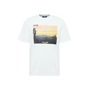 Only & Sons T-Shirt 'Mani'  vegyes színek / fehér