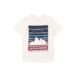 Jack & Jones Junior Póló 'DEHSEL'  fehér / vegyes színek
