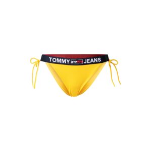 TOMMY HILFIGER Bikini nadrágok 'Cheeky'  éjkék / curry / piros / fehér