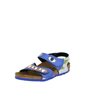 BIRKENSTOCK Nyitott cipők 'Palu'  kék / vegyes színek