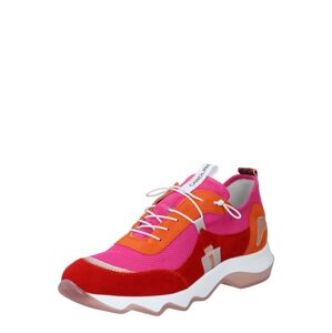 Donna Carolina Rövid szárú edzőcipők  rózsaszín / neonnarancs / piros