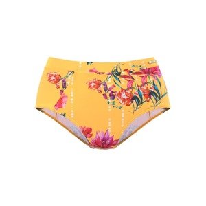 SUNSEEKER Bikini nadrágok  zafir / aranysárga / fukszia / világospiros / fehér