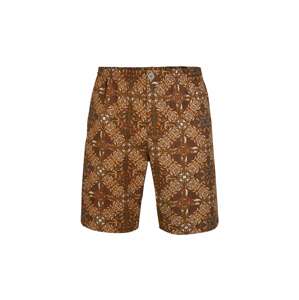 O'NEILL Shorts 'Lombok'  barna / fekete / fehér / mustár