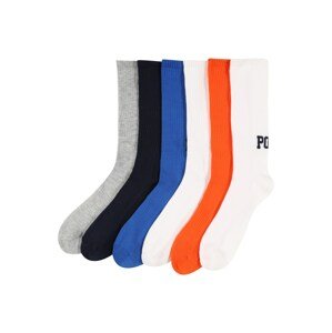Polo Ralph Lauren Zokni  kék / sötétkék / szürke / sötét narancssárga / fehér