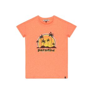 Cars Jeans Póló 'Zephira'  narancssárga melír / vegyes színek