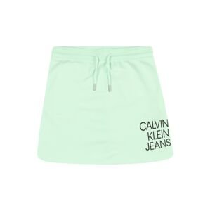 Calvin Klein Jeans Szoknyák  zöld / fekete