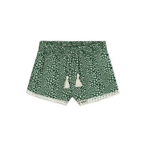 Shiwi Shorts 'Tuvalu'  zöld / fehér