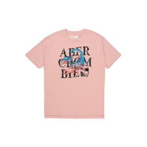 Abercrombie & Fitch Póló 'CHASE STREET'  rózsaszín / fekete / kék