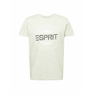ESPRIT Póló  pasztellzöld / fehér / fekete