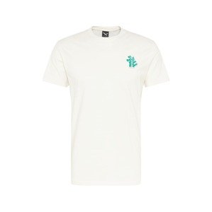 Iriedaily T-Shirt 'Consciousness'  piszkosfehér / zöld