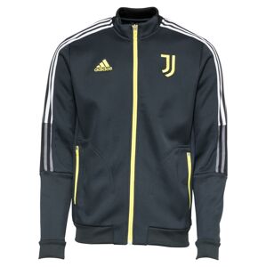 ADIDAS PERFORMANCE Sport szabadidős dzsekik 'Juventus Torino'  sárga / fekete / fehér
