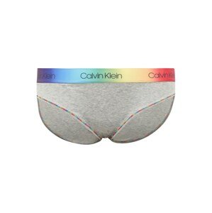 Calvin Klein Underwear Slip  vegyes színek / szürke melír