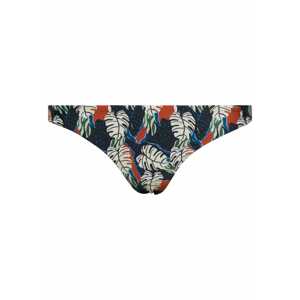 Superdry Bikini nadrágok  benzin / vegyes színek