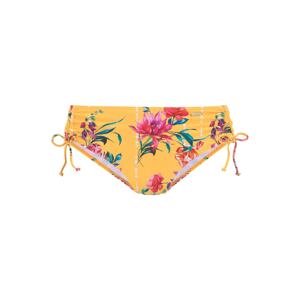 SUNSEEKER Bikini nadrágok 'Sunseeker'  sárga / vegyes színek