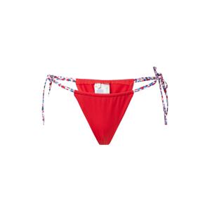 Tommy Hilfiger Underwear Bikini nadrágok  piros / fehér / füstkék / éjkék
