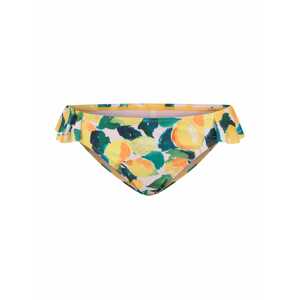 Shiwi Bikini nadrágok  benzin / világoszöld / sötétzöld / narancs / fehér