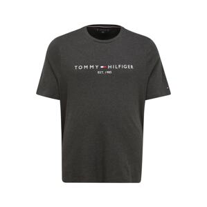Tommy Hilfiger Big & Tall Póló  grafit / fehér / éjkék / piros