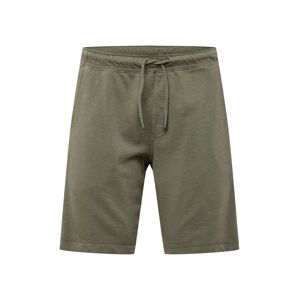 CINQUE Shorts 'MIAM'  olíva