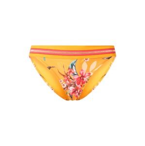 Hunkemöller Bikini nadrágok 'Rio'  vegyes színek / narancs