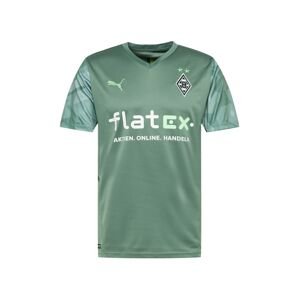 PUMA Mezek 'Borussia Mönchengladbach'  smaragd / világoszöld / sötétzöld / fehér