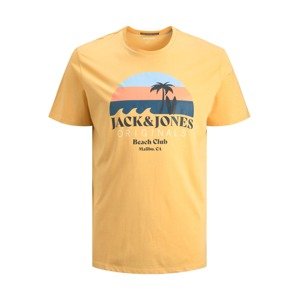 Jack & Jones Plus T-Shirt 'Cabana'  sáfrány / világoskék / mandarin / tengerészkék / fehér
