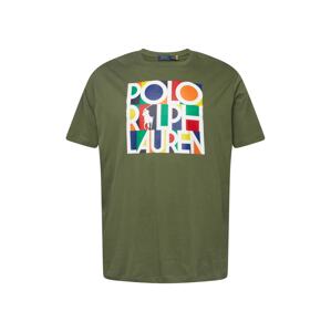 Polo Ralph Lauren Big & Tall Póló  sötétzöld / vegyes színek