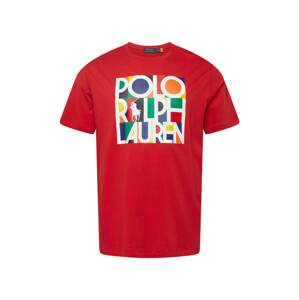 Polo Ralph Lauren Big & Tall Póló  piros / vegyes színek