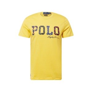 Polo Ralph Lauren Póló  sárga / sötétkék / borvörös