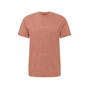 Abercrombie & Fitch T-Shirt  rozsdabarna / sárgabarack
