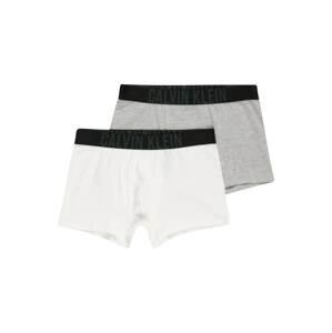 Calvin Klein Underwear Alsónadrág  fehér / szürke / fekete