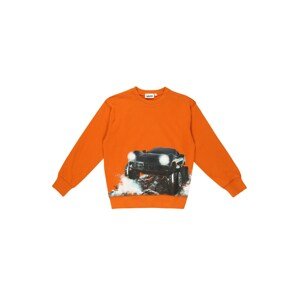 Molo Tréning póló 'Mann'  narancs / vegyes színek