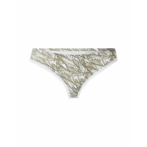 Calvin Klein Underwear String bugyik  világosszürke / olíva