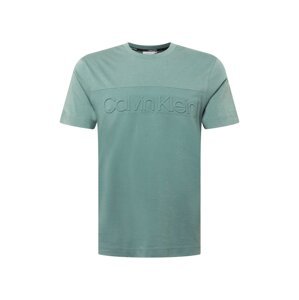 Calvin Klein T-Shirt  jáde