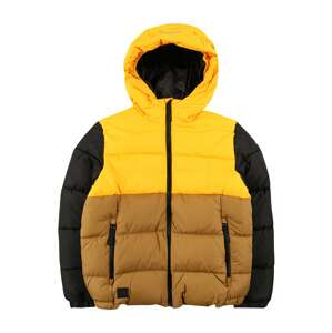 ICEPEAK Kültéri kabátok 'Kirkman'  limone / fekete / teveszín