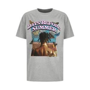 MT Upscale Póló 'Days Before Summer'  barna / világosszürke / rózsaszín / fekete