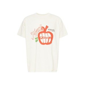 BDG Urban Outfitters Póló  pasztellsárga / narancs / zöld / grafit