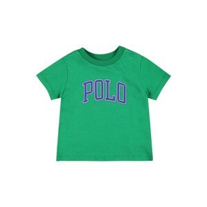 Polo Ralph Lauren Póló  zöld / tengerészkék / fehér