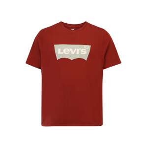 Levi's® Big & Tall Póló  világosszürke / rozsdavörös / fehér